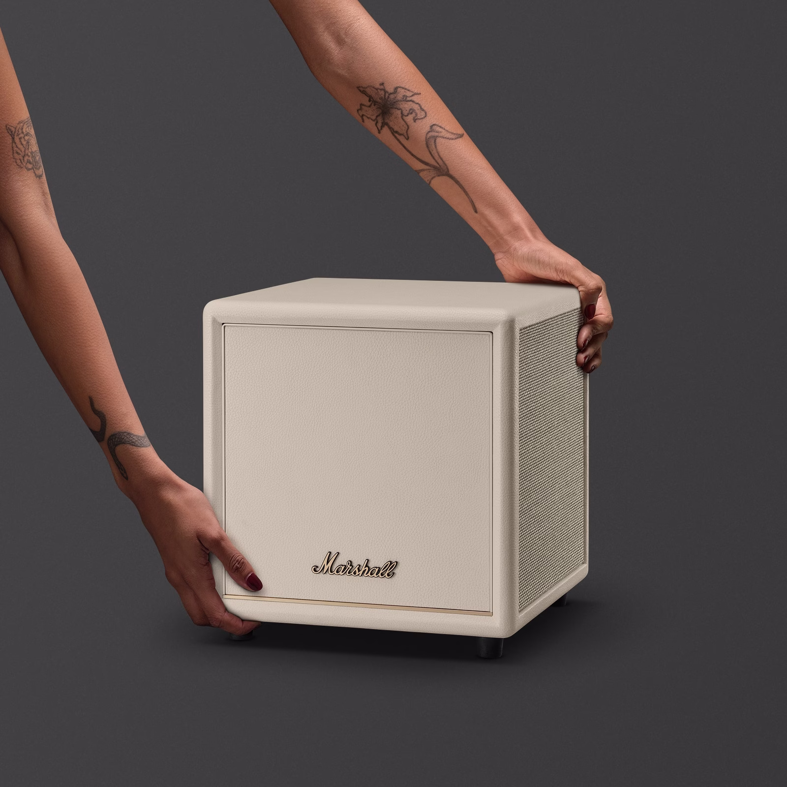 Loa Subwoofer Marshall Heston Sub 200 - Image 9